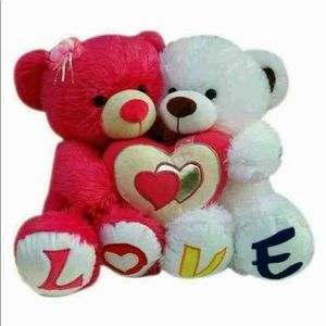 Meet your Posher, Bernardo elias